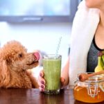 w-2019-11-19T123517.904