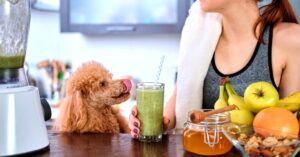 w-2019-11-19T123517.904