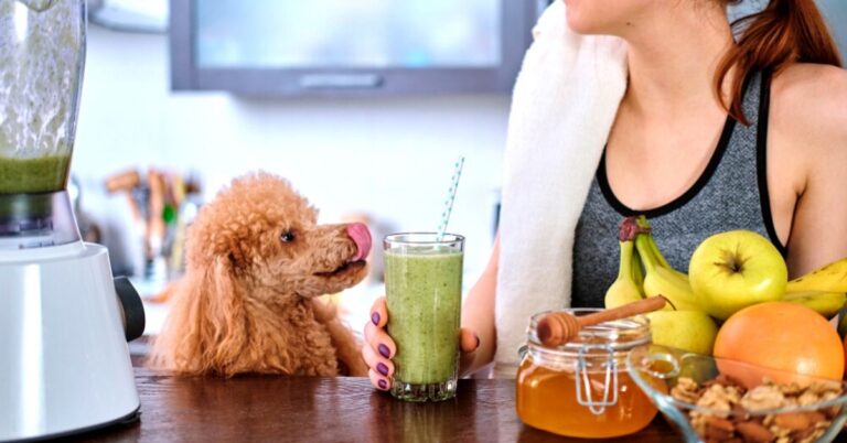 w-2019-11-19T123517.904