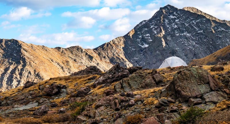 premium-vs-budget-guide-1