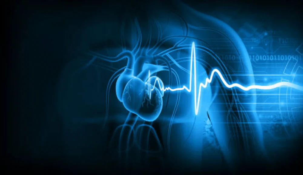 Screen_Shot_2023-01-12_at_2.56.54_PM_1000x