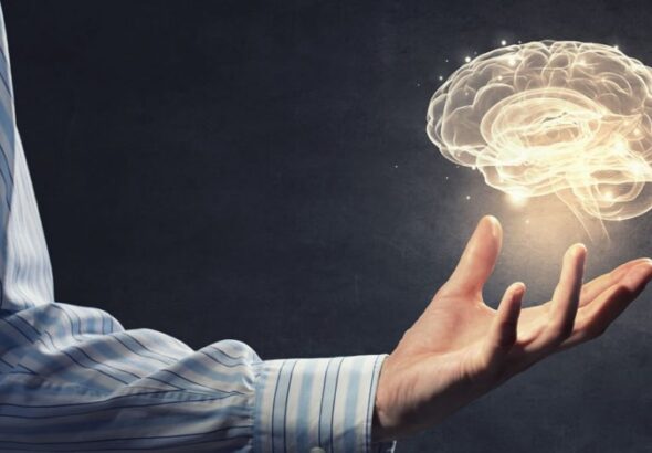 neuroplasticity-1-1024x530-1